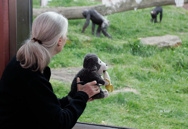 Goodall poses for a photo at Taronga Zoo on Oct. 11, 2008, in Sydney. 