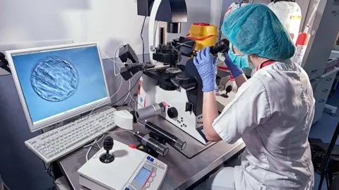Getty Images Embryologist looking through a microscope and adding sperm to egg in laboratory of reproductive clinic