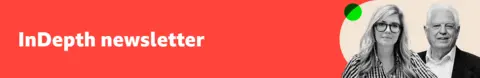 InDepth newsletter banner