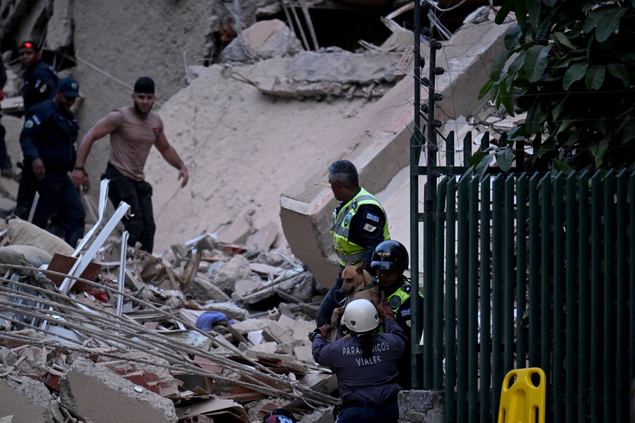 A dog was rescued from a collapsed building following an earthquake in Caracas on June 24, 2026. 