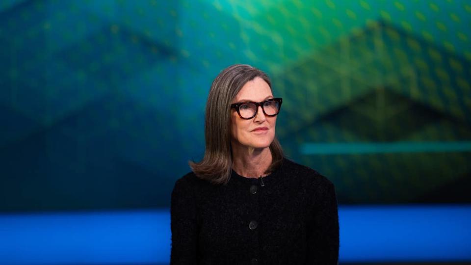 Cathie Wood’s ARK sold Robinhood and Roku after sharp stock ralliesJose Sarmento Matos/Bloomberg via Getty Images