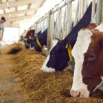 Science-Based Targets Initiative sets out corporate net-zero revamp