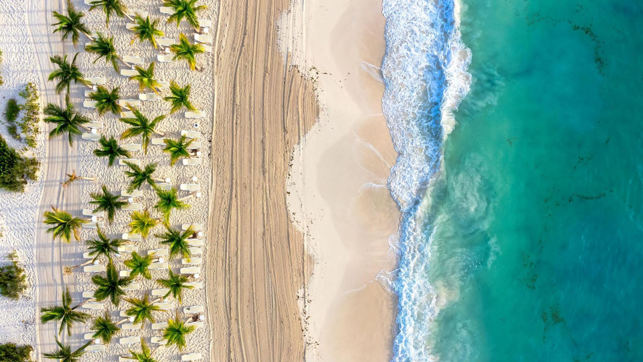 A beach in Cancun. The picture shows white sand, palm trees and an aqua sea with waves breaking on the shore