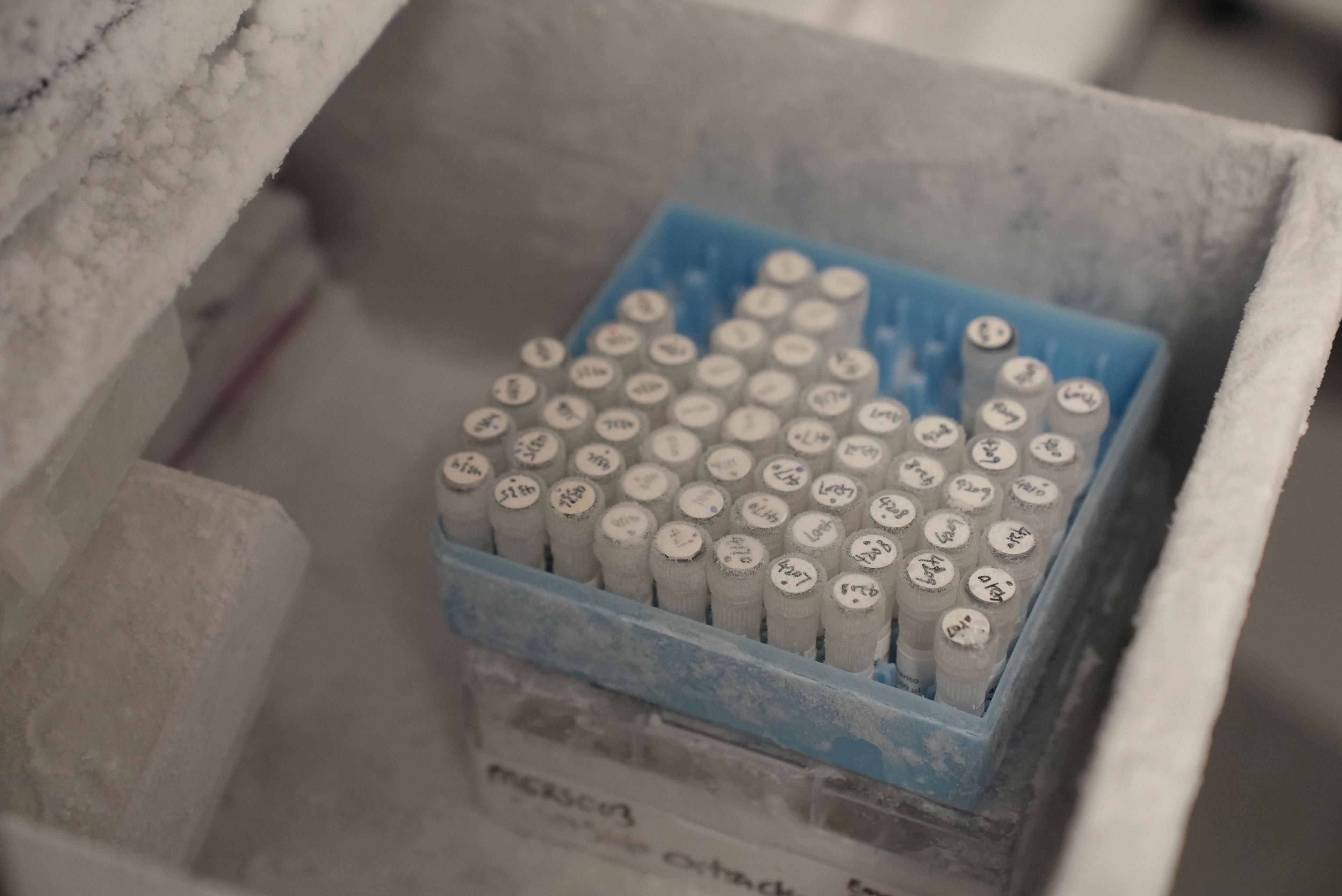 The image shows a frosted storage container, part of a laboratory freezer, with a blue rack holding dozens of small sample tubes. The tubes are arranged in neat rows and columns, and each cap has handwritten labels or identification numbers on it. A layer of frost covers the rack, tubes, and interior surfaces, indicating that the samples are being stored at very low temperatures.
The foreground is in sharp focus around the sample rack, while the surrounding freezer compartment and other contents are softly blurred.