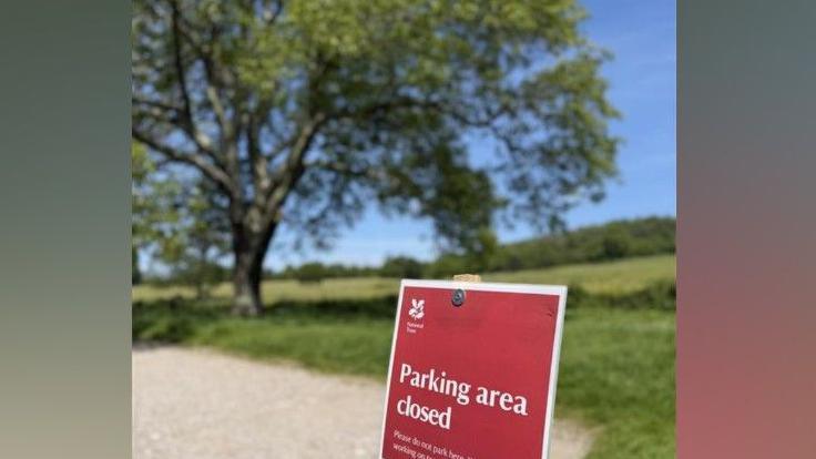 A close up image of a laminated paper National Trust sign in a car park in red and white with warning symbols saying "tree safety assessments" were taking place. A tree is in the background.