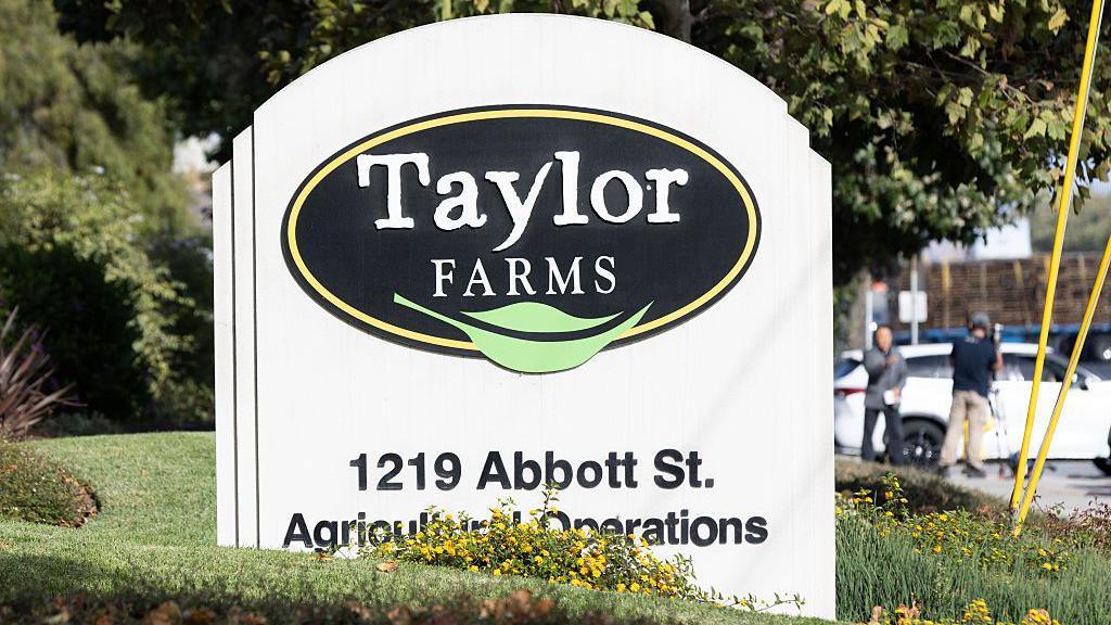 A curved white sign with a black sideways oval on it containing the words Taylor Farms in white with a green leaf below. The sign is on a mown grass lawn with trees in the background and with a white car parked to the side.