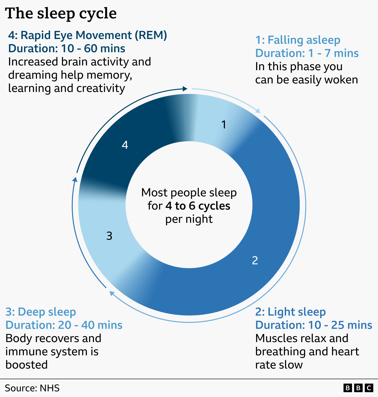 A graphic depicting a circle showing the stages of sleep. The text reads: 1) Falling asleep lasts 1to 7 minutes. You can be easily woken at this point. 2) Light sleep lasts 10 to 25 minutes. Your muscles are relaxed, breathing and heart rate slow. 3) Deep sleep lasts 20 to 40 minutes. This stage is critical for body recovery & boosting your immune system. 4) Rapid eye movement (REM) lasts 10 to 60 minutes. This when brain activity is increased. You dream in this stage. This stage is important to sort out the events of your day in your memory. This is important for learning and creativity.