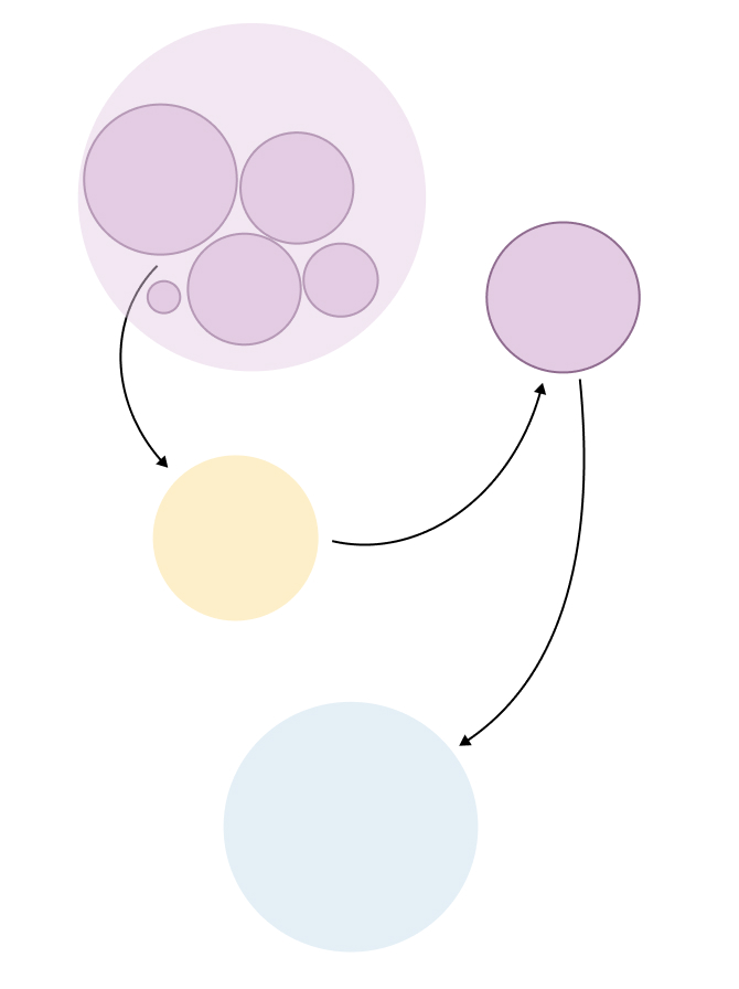 A diagram showing the flow of computer chips and parts from Inspur subsidiaries to a Malaysian firm called Innospec and from there to Maginfra, a company based in China near Inspur. Maginfra then sells servers to Chinese universities, banks and companies.