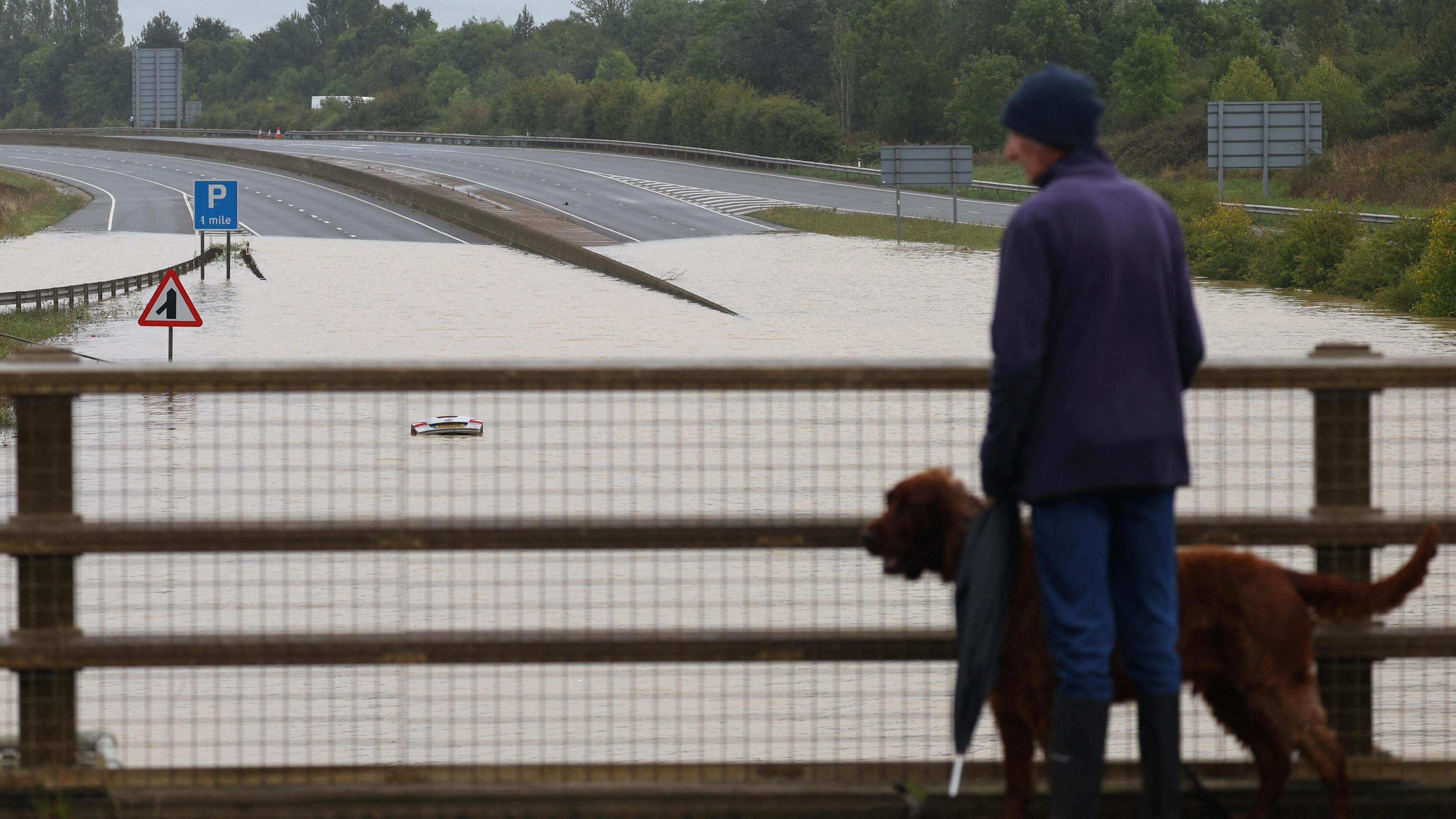 A man and his dog stand on a bridge and look at a flooded road. A car can be seen submerged in the water. 