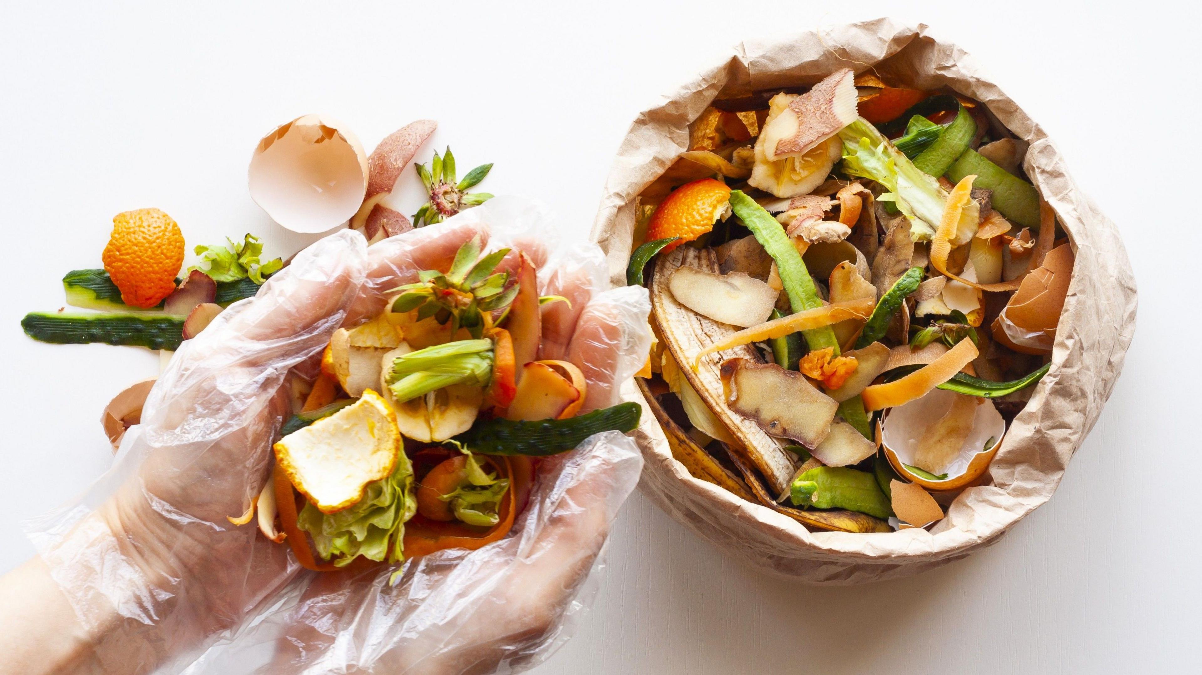 A person holds some vegetable scraps in their gloved hands